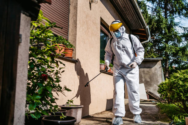 Best Pest Inspection Near Me  in Kent City, MI