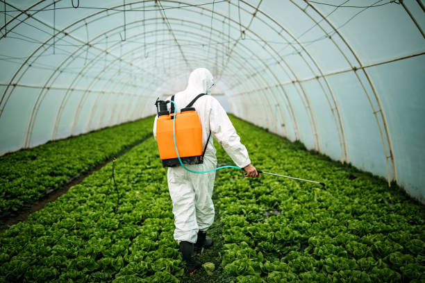 Professional Pest Control in Kent City, MI