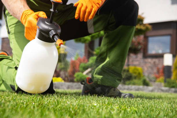 Best Pest Removal Services  in Kent City, MI