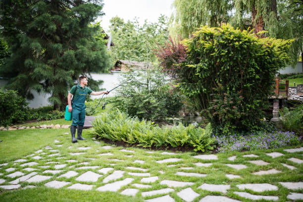 Best Pest Control Near Me  in Kent City, MI