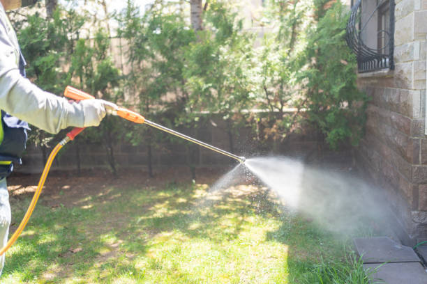Best Best Pest Control Companies  in Kent City, MI