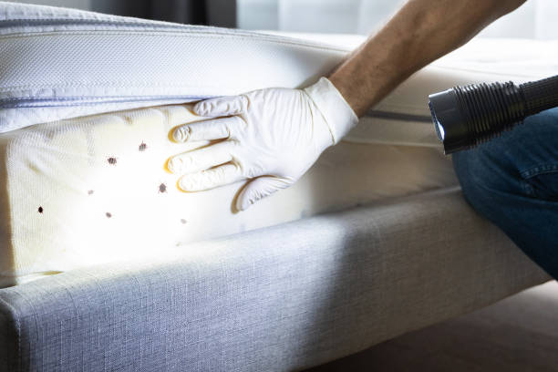 Best Pest Prevention Services  in Kent City, MI