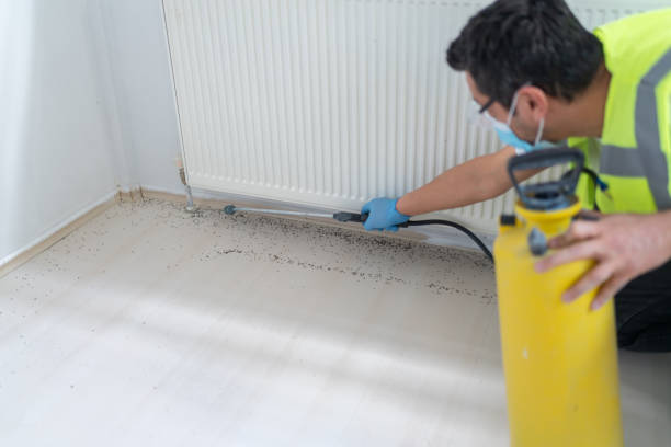 Best Pest Control for Homes  in Kent City, MI