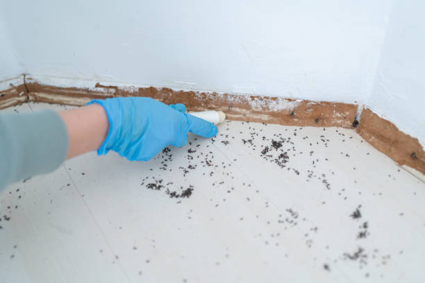 Best Commercial Pest Control Services  in Kent City, MI