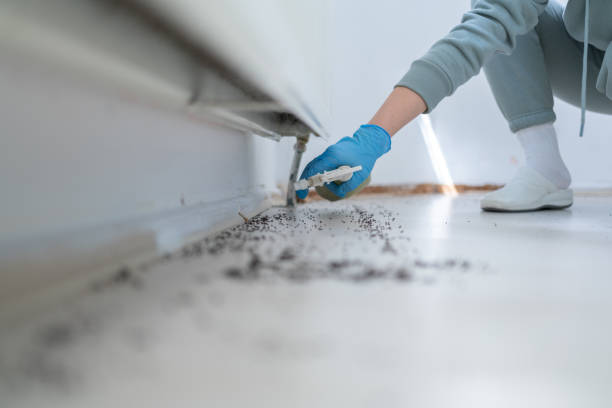Best Affordable Pest Control Services  in Kent City, MI